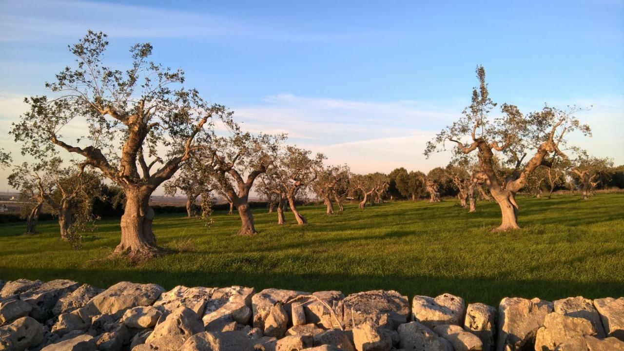 Antiche Mura Apartments "Nel Cuore Della Puglia"Bivani, Cucina, Terrazzo Turi Bagian luar foto