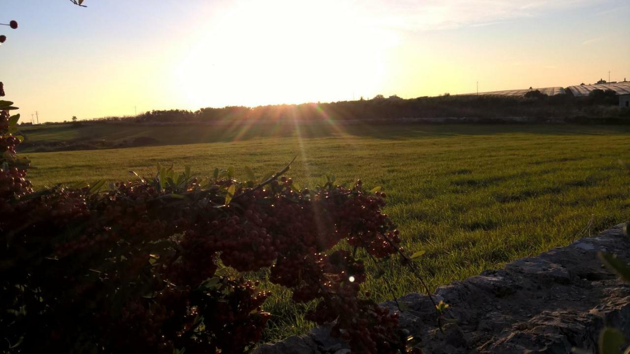 Antiche Mura Apartments "Nel Cuore Della Puglia"Bivani, Cucina, Terrazzo Turi Bagian luar foto